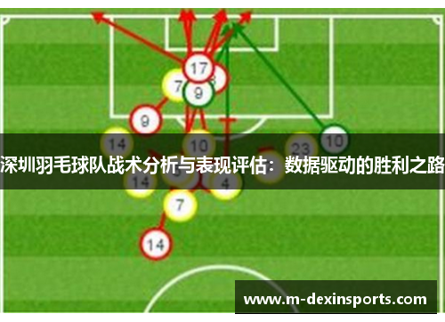 深圳羽毛球队战术分析与表现评估：数据驱动的胜利之路