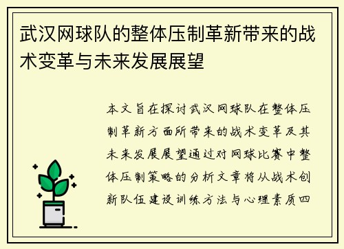 武汉网球队的整体压制革新带来的战术变革与未来发展展望