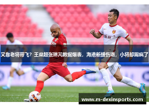 又靠老将带飞？王燊超张琳芃数据爆表，海港新援伤退，小将却踢疯了